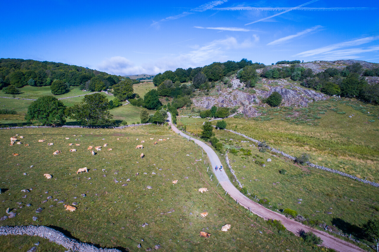 DJI_0770.jpg-1280px